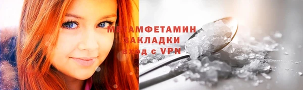 шишки Надым