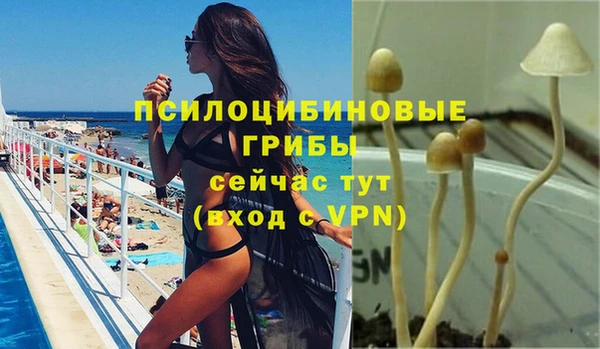 spice Арсеньев
