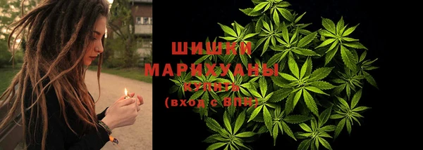 spice Арсеньев